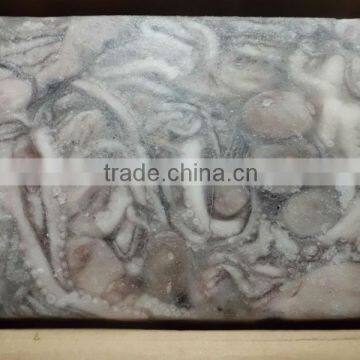 Clean Baby Octopus
