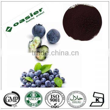 Natural GMP hot sale pharmaceutical grade europe bilberry extract