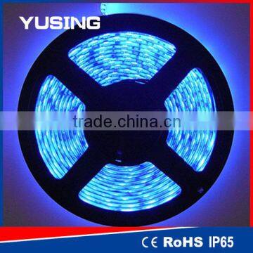 Blue Color 2 Years Warranty SMD 5050 Flexible LED Strip Light IP68