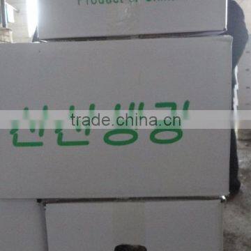 China Ginger of Good Quality