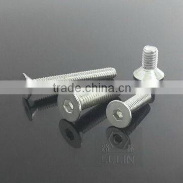 SS Hex Socket CSK Head Screw