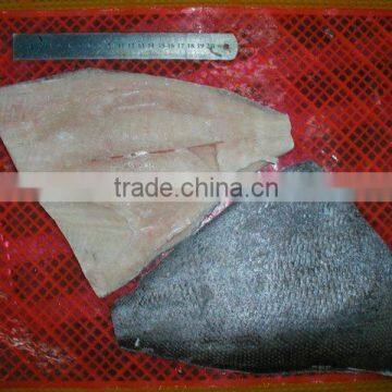 ANGEL FISH FILLETS