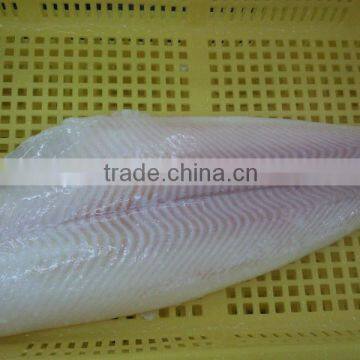 Frozen Pacific Halibut Fillet