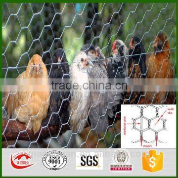 China factory low price sales high quality galvanized chicken wire netting