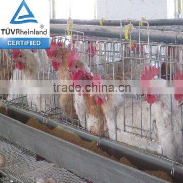 3 tier or4 layer electro galvanized/hot dipped/PVC coated chicken cages/large chicken cage for sale 20year lifetime