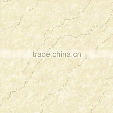 NANO Finish Porcelain Floor Tiles 600x600 Soluble Salt photo-2