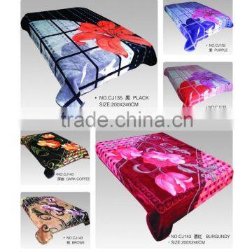2015 NEW DESIGNS 1ply&2ply Raschel Quality Hot Compressed Embossed Raschel Korean Style Blanket NO.15022 photo-4