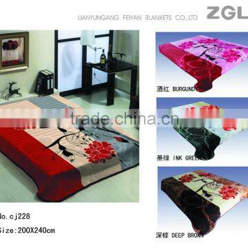 2015 NEW DESIGNS 1ply&2ply Raschel Quality Hot Compressed Embossed Raschel Korean Style Blanket NO.15019 photo-2