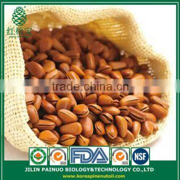 Wholesale New Crop Deep Discount High Quality Open Pine Nuts in Shell