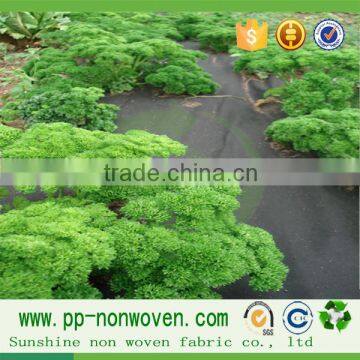 Black Nonwoven Fabric Organic Agriculture in Weed Control Cover photo-2
