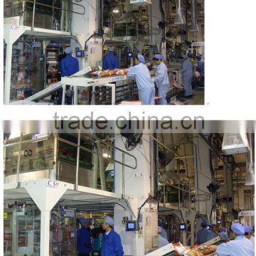 bean milk powder packing machine