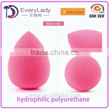 EveryLady makeup blender sponge brush for christmas