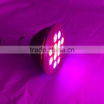 China Manufacturer Led Grow Light 24 Watt E26 E27 Socket for Home Plant