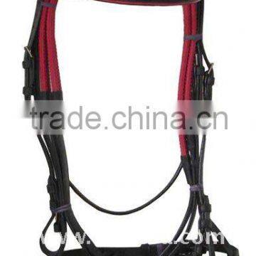 horse Bridle