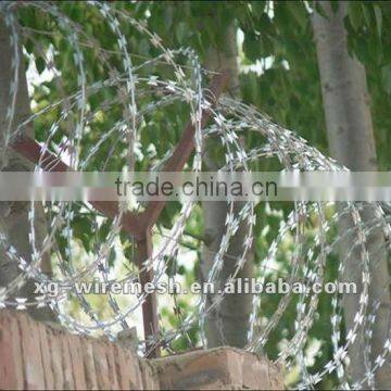 (Factory) Razor Wire