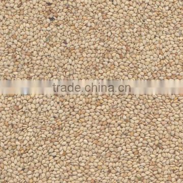 Natural sesame seeds, white sesame seeds, new crop whitish sesame seeds