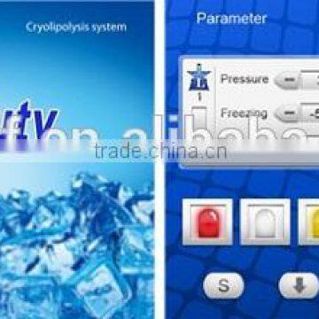 Beauty Salon Freeze Fat Cryolipolysis / Best Cryolipolysis Portable / Cryolipolysis SL-2 photo-6