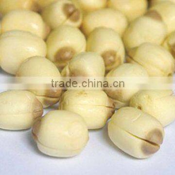 Lotus Seed High Quality and Best Price