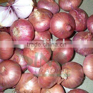 fresh red onion