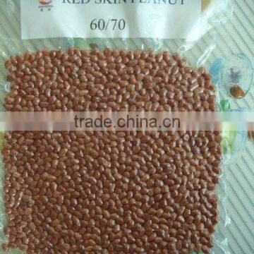 Peanut Kernel Wholesales Price photo-4