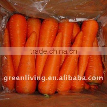 2014 new crop fresh carrot for sale