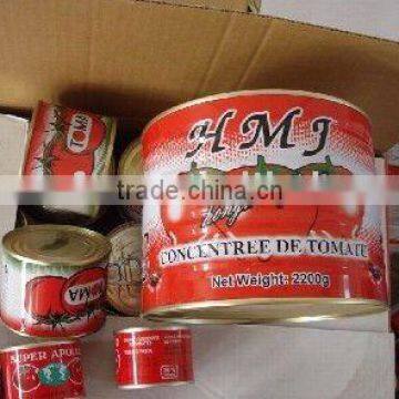 selling 28-30%tomato paste