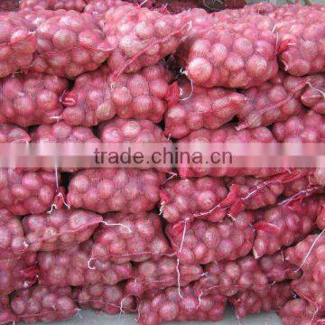 fresh red onion