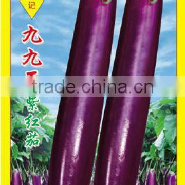 Beautiful And Nice Tasted Long Purple Eggplant Seeds For Growing