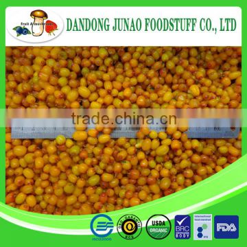 IQF juicy fruit frozen sea buckthorn berries