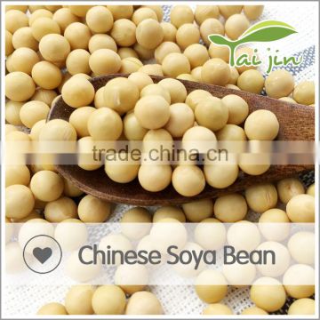 Best Quality NON-GMO Soy Bean