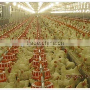 Poultry automatic pan feeding system for breeders