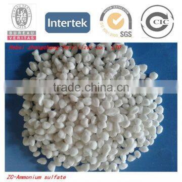 Zhongchang sulphate granule