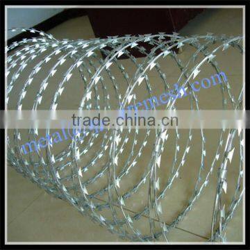 High Quality Conceritina Razor Wire Price / Razor Wire Factory photo-4