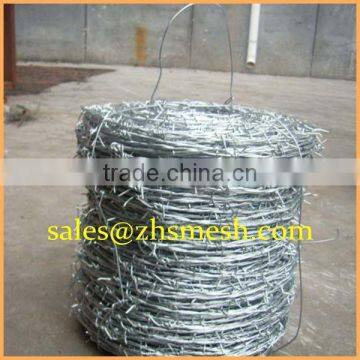 hot sales galvanized barbed wire 12x12