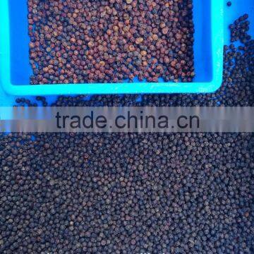 Mini CCD Cambodia Red and Black Color Pepper Color Sorter From China photo-3