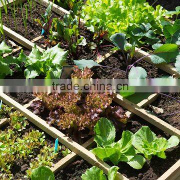 Garden Tool Weeder