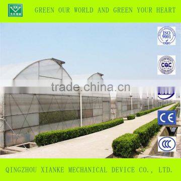 Multi-Span Commercial Fiberglass Greenhouses photo-4
