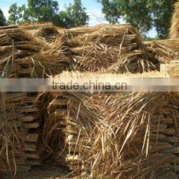 Grass roof