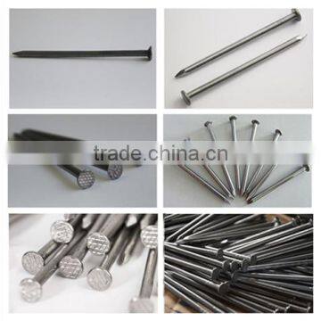 South Africa Round Wire Nails photo-2