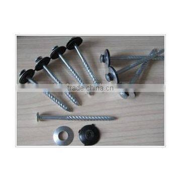 Galvanized Umbrella Head Roofing Nails With Washer photo-5