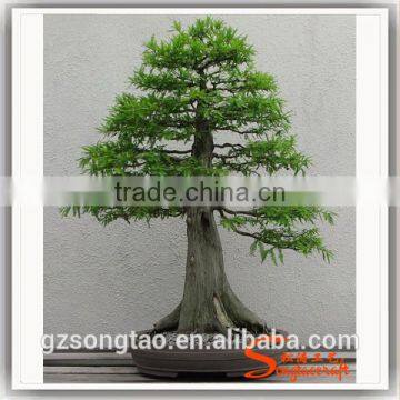 Grotesque or Fantastic in Shape or Appearance , Artificial Pot Manufacturing Plants for Wholesale photo-2