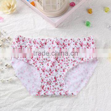 Sexy Net Designs Cheap Wholesale Nude Bra With PicturesStandard Women Sexy New Style Bra and Panty photo-5