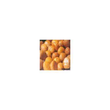 Frozen Peeled Roasted Chestnut