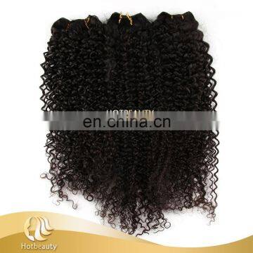 New Arrived Kinky African American Curly Weaves 100 Human Hair.