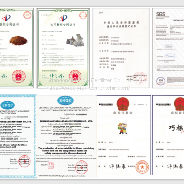 Cocoly Granular Water Soluble Fertilizer+TE photo-4