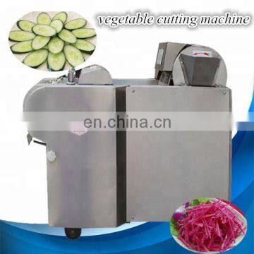 High Capacity Fruit and Vegetable Cutting Machine photo-7