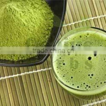 GMP Certified Moringa Leaf Powder for Bulk Sale