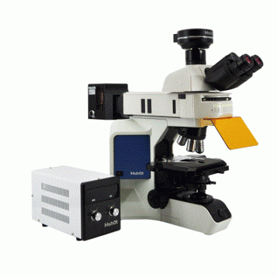 Research-level upright fluorescence microscope MF43-N