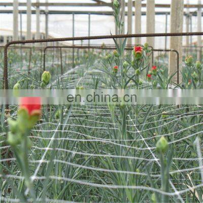 Extrude Strong Plant Support Climbing Fencing Trellis Netting photo-5