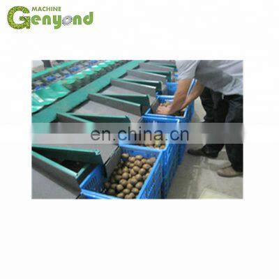 high capacity mango washing grading machine